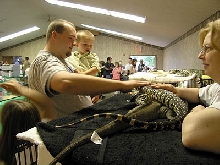 teaching about tegus
