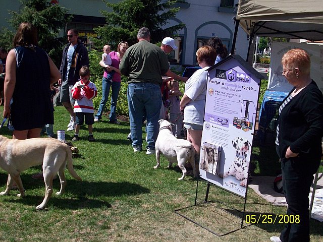 wide shot of dog booth