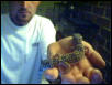 female gecko