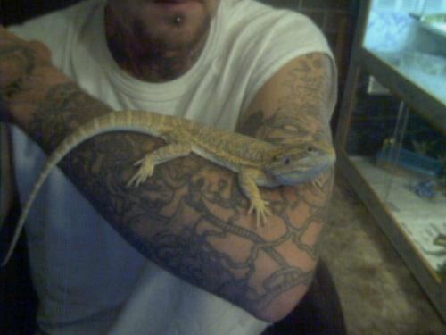 spike