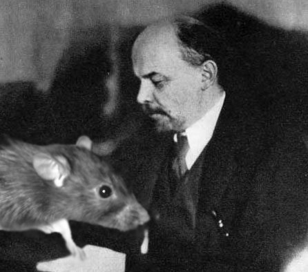 We love you Mouse!