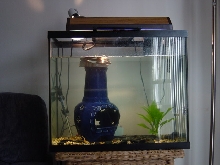 20 gallon tank for RES