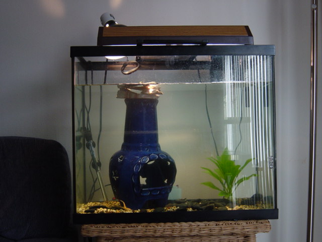 20 gallon tank for RES