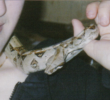 corey