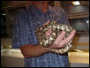 Male Fla. Kingsnake