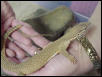 My sweetie holding another sweetie