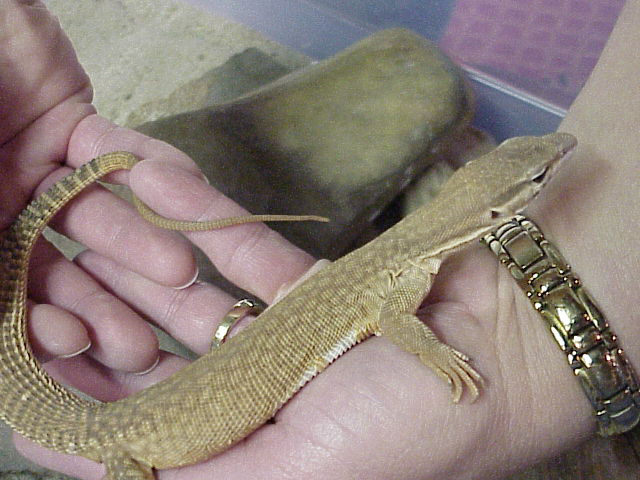 My sweetie holding another sweetie