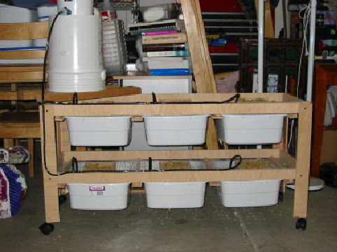 6 tub rat rack with auto water
