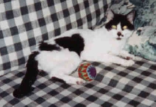 Baby 1983 - 1999