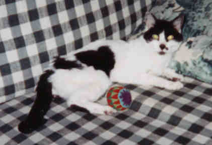Baby 1983 - 1999