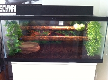 GTP enclosure.
