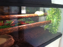 GTP enclosure.