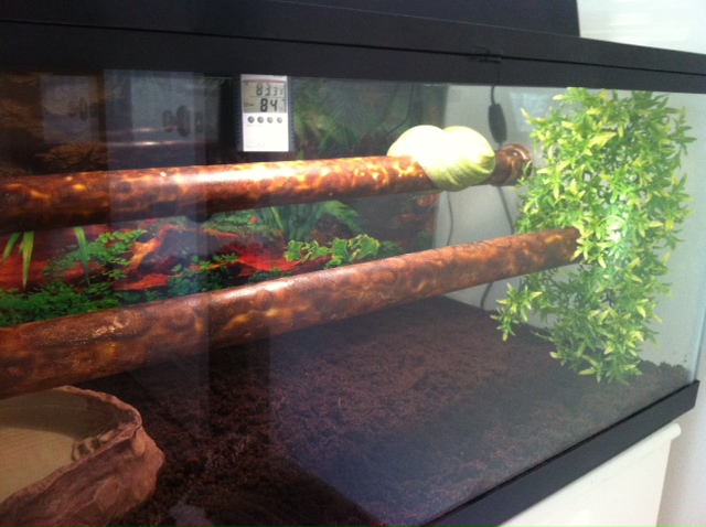 GTP enclosure.