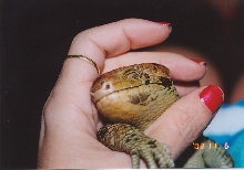my sweet leonardo