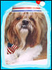 Patriotic Freddie