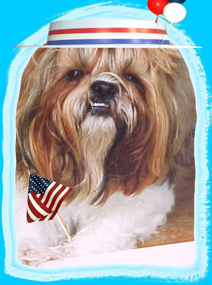 Patriotic Freddie