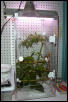 gtp cage