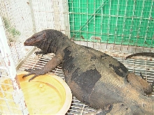 black monitor 1
