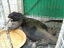 black monitor 2