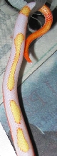 Aberrant Albino Nelsoni
