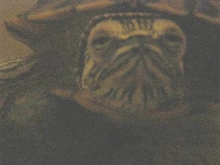 Close up of benedict