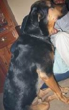 Capone
