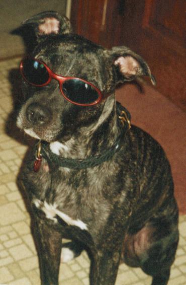 kali a once in a lifetime friend