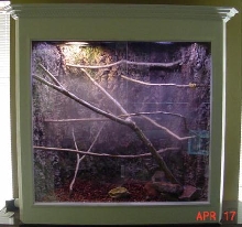 Green Tree Python Cage