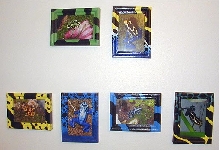 frames