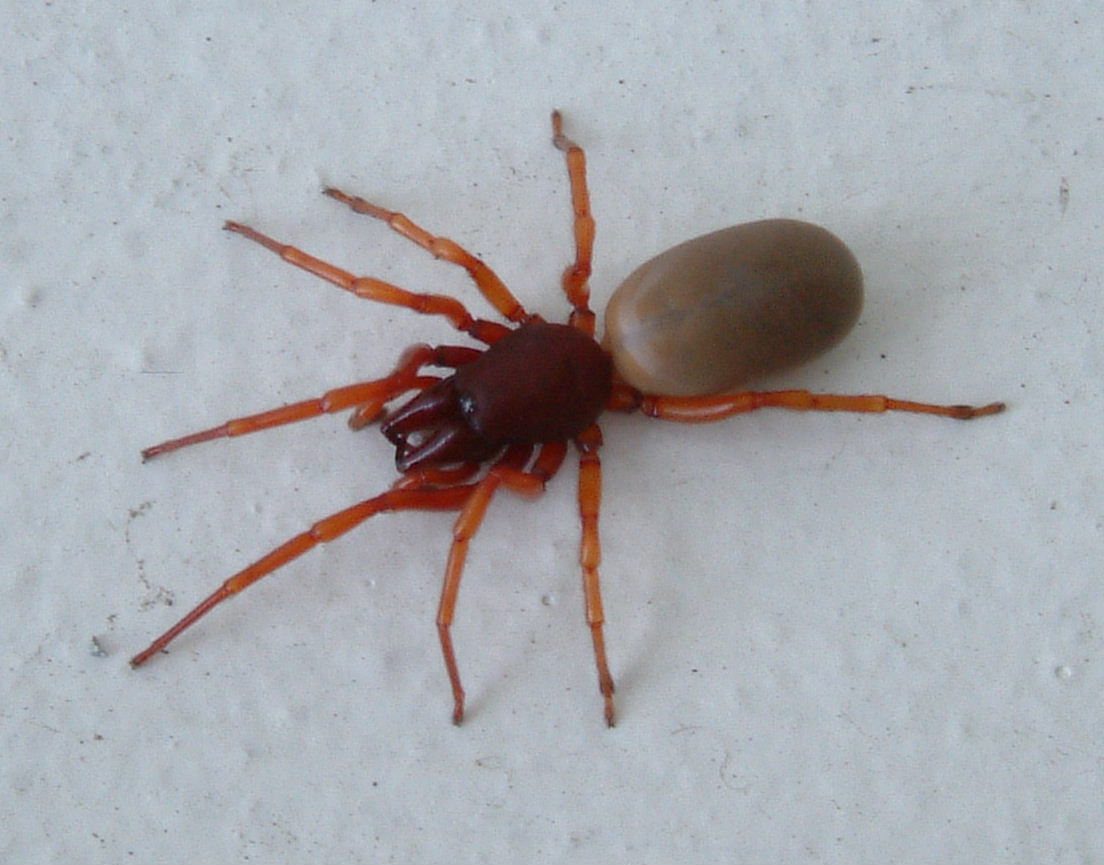 Can you help me identify?