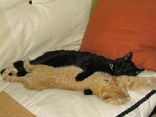 Milo & Stanley
