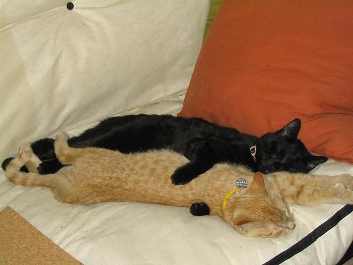 Milo & Stanley
