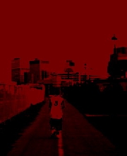 Take the Long Road and Walk It...