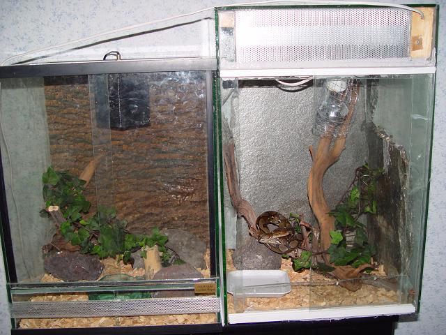 retic