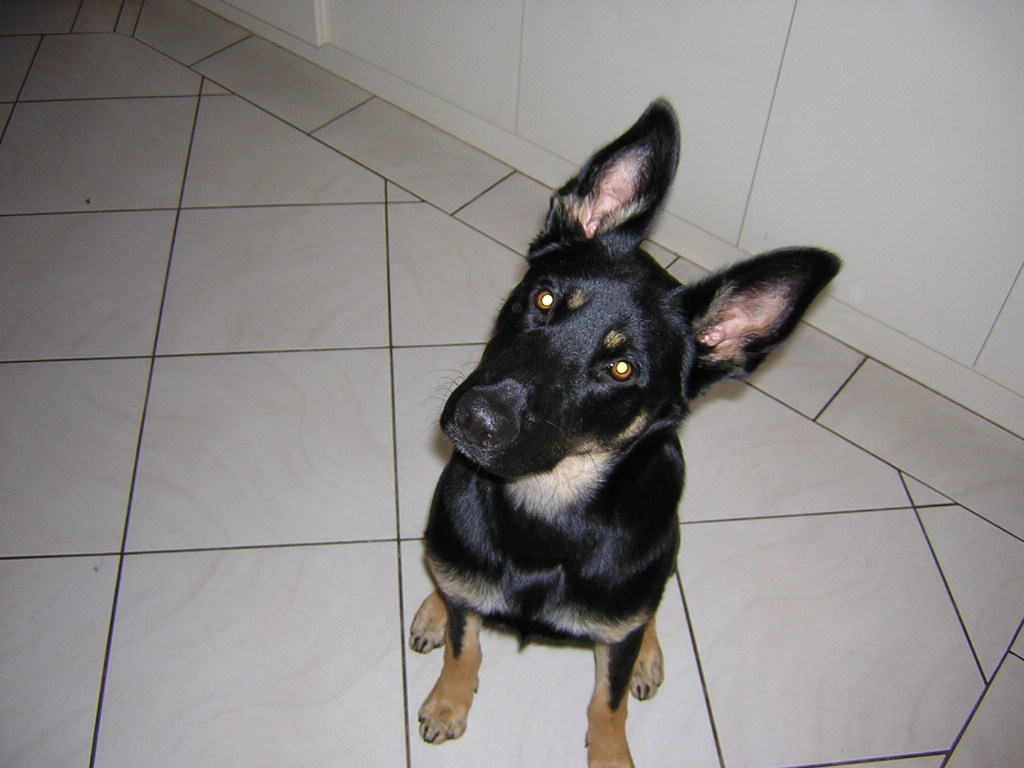 Indi2