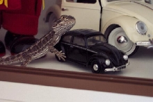 Tatsu being Godzilla!