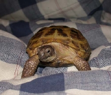 Mei Mei the great explorer!