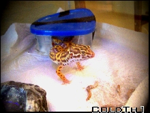 MY little guys getting big.