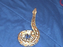 Nakal