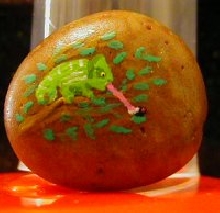 tinycham1