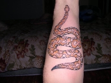 blood python tattoo