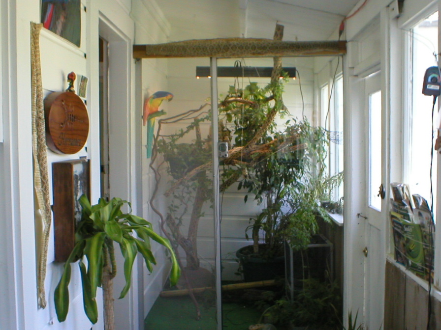 Jackson's cage