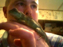 Rex chillin