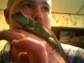 Rex chillin