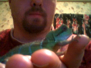 Rex at two months
