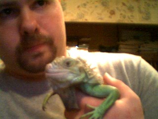 My rescued iguana Thurgood