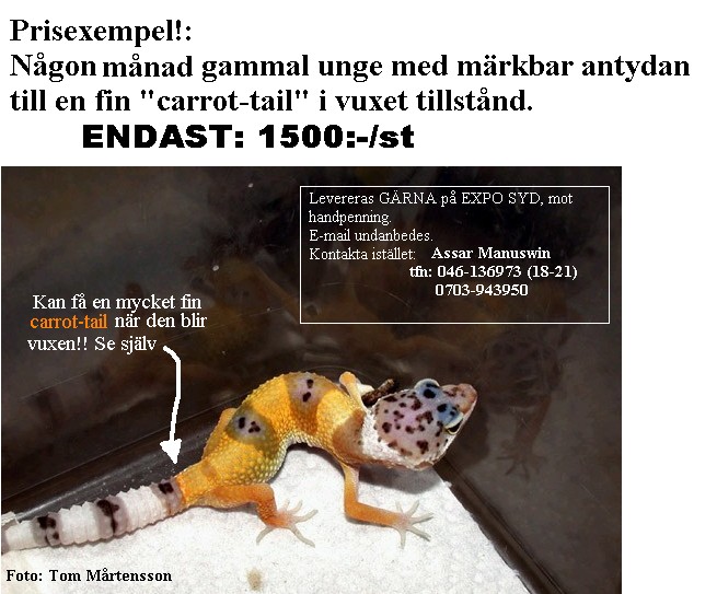 annons2