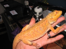 ketu 9 mos
