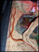 suki slithers to shelter