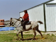 Appy and Glory